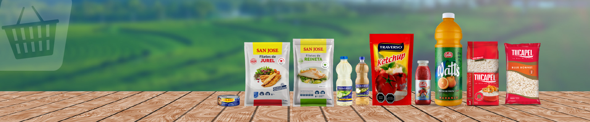 Nuestros Proveedores